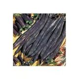 Tohumcumm 150 Adet Tohum Nadir Siyah Olive Bean Organik Hasat Siyah Fasulye Tohumu Köy Tohumudur