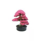 Tohumcumm 20 Adet Tohum Bodur Pembe Erguvan Bonzai Ağac Ekim Seti Saksı Toprak Sürpriz Hediye Bonsai Tohumu