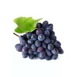Tohumcumm 20 Adet Tohum Siyah Üzüm Black Magic Asma Ağacı Tohumu Sürpriz Hediye Bonsai Ağacı Tohumu