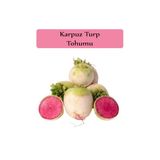 Tohumcumm 200 Adet İri Karpuz Turp Tohumu Organik Hobi Köy Tohumu Hediye Tohumlu