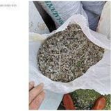 Tohumcumm 2,5kg Doğal Organik Güvercin Gübresi Hertürü Sebze Meyve Ağaç Fidanaları Için Uygndur