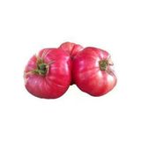 Tohumcumm 30 Adet Tohum Nadir Ürü Pembe Bulgar Domatesi Pembe Domates Tohumu Sürpriz Hediye Tohumlu
