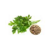 Tohumcumm 4 Lü Set Maydanoz Tohumu Dere Otu Tohumu Turp Tohumu Roka Tohumu Sebze Tohumu 400 Adet
