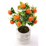 Tohumcumm 5 Adet Tohum Bodur Bonsai Mandalina Bonzai Ağacı Tohum Sürpriz Hediye Bonsai Ağacı Tohum