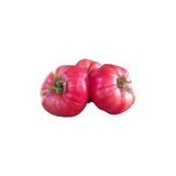 Tohumcumm 50 Adet Tohum Nadir Iri Pembe Oturak Köy Bulgar Domatesi Tohumu Bulgar Pembe Domates Tohum