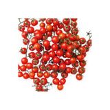 Tohumcumm 50 Adet Tohum Nadir Ithal Cherry Minik Bezelye Domates Tohumu Sürpriz Hediye Tohum