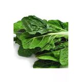 Tohumcumm 50 Adet Tohum Yerli Pazı Doğal Pazı Ata Tohum Sürpriz Hediye Tohum