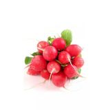 Tohumcumm 50 Adet Yerli Kırmızı Fındık Turp Tohumu + Saksı + Toprak