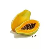 Tohumcumm Papaya Ağacı Tohumu Ithal Tropikal Papaya Tohumu 3 Adet Tohum + Saksı Toprak