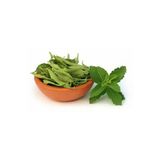 Tohumcumm Şeker Otu Tohumu Stevia Tohumu 20 Adet Tohum + Saksı + Toprak