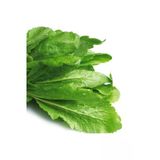 Tohumcumm Tere Tohumu Yerli Iri Boy Geniş Yapraklı Tere Tohumu 100 Adet Tohum