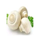 Tohumgübre 1 Gr Beyaz Şapkalı Kültür Mantarı Tohumu