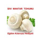 Tohumgübre 100 Ml Beyaz Şapkalı Kültür Mantarı Miseli (Mantar Tohumu)