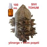 Tohumgübre 100 Ml Istiridye Kavak Kayın Mantarı Tohumu, Mantar Ekim Poşeti Ve Yönerge