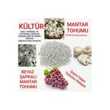 TohumGübre 15.000 Adet Beyaz Şapkalı Kültür Mantarı Tohumu