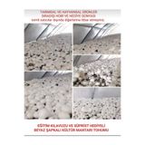 TohumGübre 30.000 Adet Beyaz Şapkalı Kültür Mantarı Tohumu + Kılavuz + Hediye Üzüm Fidanı Tohumu