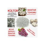 TohumGübre Kültür Mantarı Tohumu (15.000 ADET) Ekim Poşeti Yönerge
