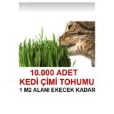 Tohumgübre Uzun Ömürlü Kedi Çimi Tohumu