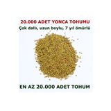 TohumGübre Yonca Tohumu 20.000 Adet + Hediye Üzüm Fidanı Tohumları