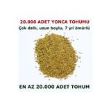 Tohumgübre Yonca Tohumu (20.000 Adet)
