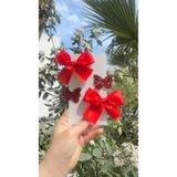 Toka Perisi Clara Kırmızı Klips toka seti( 5/3 cm metal toka)