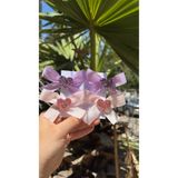 Toka Perisi Mini Love Pembe Lila 4`lü Çocuk Seti -3cm Metal Klips