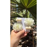 Toka Perisi Poni Flora Ekru 4`lü Çocuk Toka Seti-Frida Çiçek Ponpon Metal Klips Toka