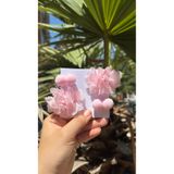 Toka Perisi Poni Flora Pembe 4`lü Çocuk Toka Seti-Frida Çiçek Ponpon Metal Klips Toka