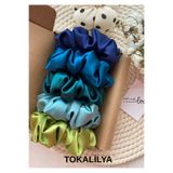 TOKALİLYA Kadın 5li Çapı 15 Cm Saten Saç Lastik Simit Scrunchie Toka Seti