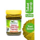 Tokat Asma Yaprağı 1,5 kg Sarıbahçe Kalitesiyle Taze ve İnce Yapraklar