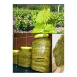 Tokat Damarsız Asma Üzüm Yaprağı 5 KG Salamura (Tokat Üzüm Yaprağı)