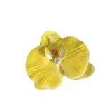 TOKIMMASH Hawaii Çiçek Saç Tokası 8,9 cm Hibiscus Çiçek, Kadın Plaj Tatil Partisi Bohem Saç Aksesuarları Yapay Saç Tokası Aksesuarları Düğün Paketi (Boho-10)