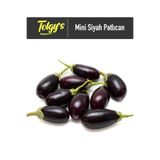 Tolgys Siyah Mini Patlıcan Tohumu / 25+ Adet Tohum