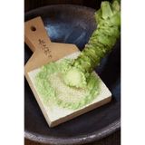 Tolgys Wasabi Turpu Tohumu / 5 Adet Wasabi Tohumu