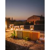 Tom & Olivia ( Kese Hediyeli ) 3’lü Sabun Seti Arındırıcı Onarım & Saç ve Cilt Bakımı Defne • Aloe Vera • Keçi Sütü