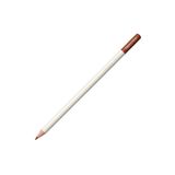 Tombow CI-RDL2 Irojıten Cinnamon Kuru Boya Kalemi