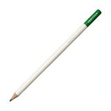 Tombow Irojıten Parrot Green Kuru Boya Kalemi