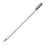 Tombow Irojıten Pigeon Gray Kuru Boya Kalemi