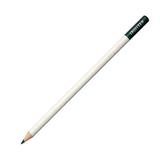 Tombow Irojıten Spruce Kuru Boya Kalemi