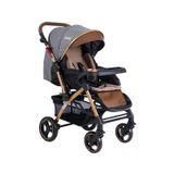 Tommy Baby Tornado Plus Gold Alüminyum Lüx Çift Yönlü Bebek Arabası fume