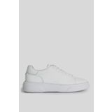 Tommy Erkek Sneaker Ayakkabı Beyaz