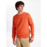 Tommy Hilfiger Bisiklet Yaka Normal Turuncu Erkek Kazak MW0MW33132SCX_CLASSIC Cotton Cable - XL