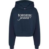 Tommy Hilfiger Çok Koyu Lacivert Kapüşonlu Sweatshirt, XS, DW0DW20306, Mavi, kadın