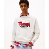 Tommy Hilfiger DM0DM22087-P09 Beyaz RLX Boucle FNT PLY CNCK EXT Erkek Sweatshirt