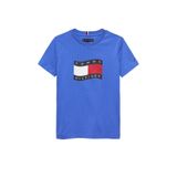Tommy Hilfiger Erkek Çocuk Baskılı T-Shirt, 16 YAŞ, 5003345821, Mavi, Erkek Çocuklar
