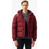 Tommy Hilfiger Erkek Mor Mont - VLP-Mor - XL
