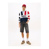 Tommy Hilfiger Erkek Ronnie Şort