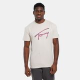 Tommy Hılfıger Erkek T-Shırt DM0DM21109-ACG - Bej - 2XL