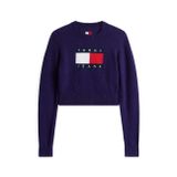 Tommy Hilfiger Işıltılı Bayrak Desenli Kazak, L, P69068S9102, MOR, Kadın L