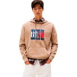 Tommy Hilfiger Kapüşonlu Logolu Sweatshirt, M, DM0DM22092, Bej, erkek